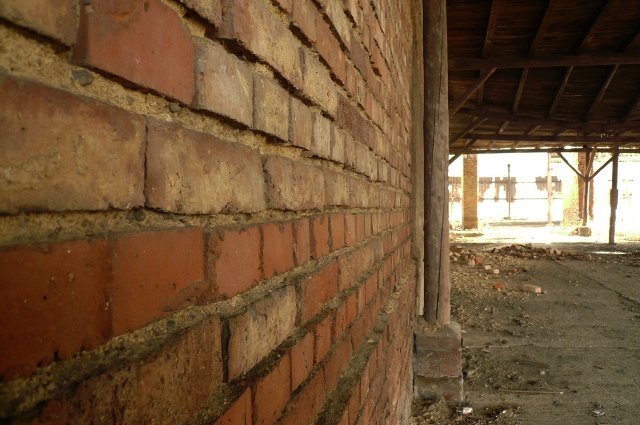 photo7.jpg