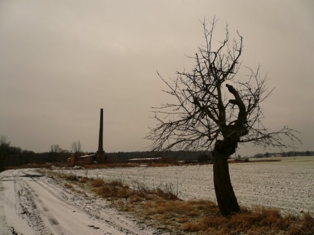 photo.jpg
