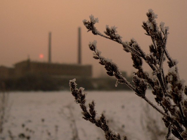 photo2.jpg