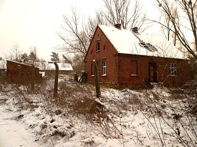 photo.jpg