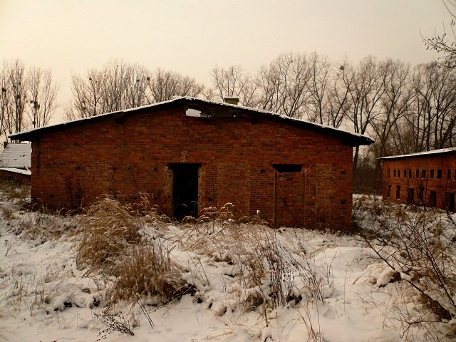 photo6.jpg