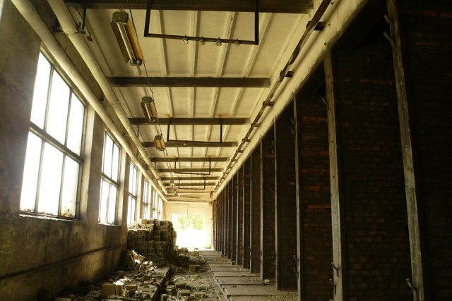 photo6.jpg