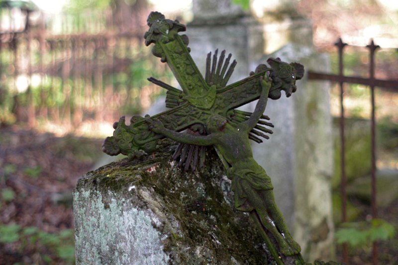 photo11.jpg