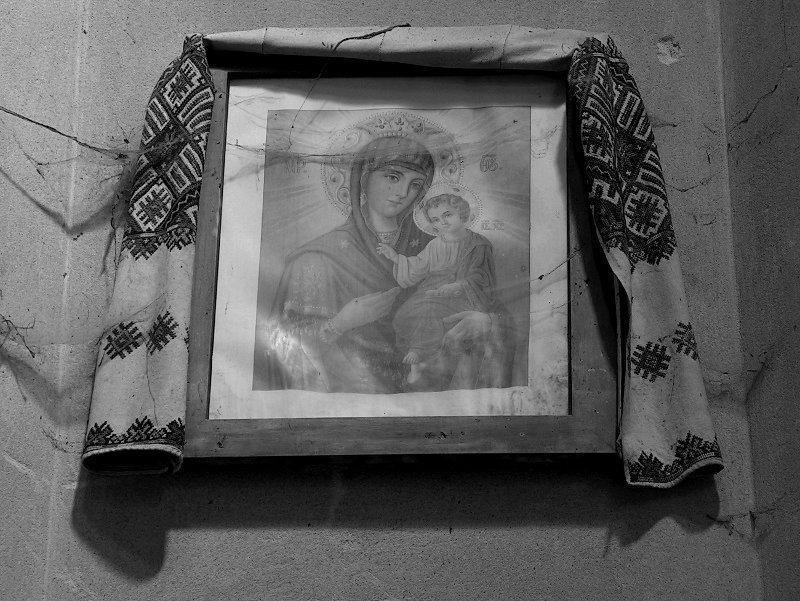 photo9.jpg