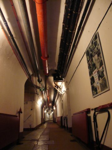 photo14.jpg