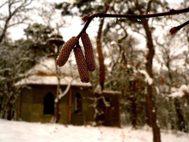photo.jpg