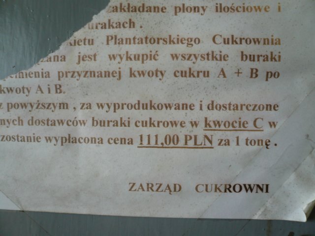 photo7.jpg