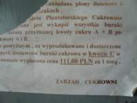 photo7_small.jpg