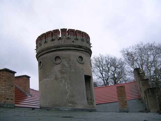 photo11.jpg