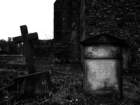 photo4_small.jpg