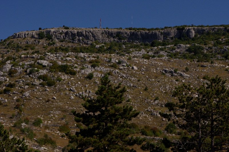 photo.jpg