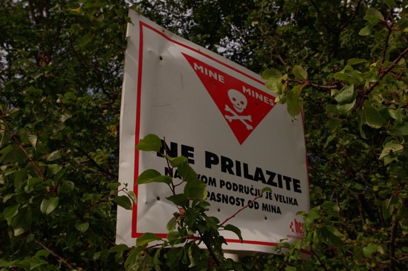 photo.jpg