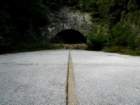 photo2_small.jpg