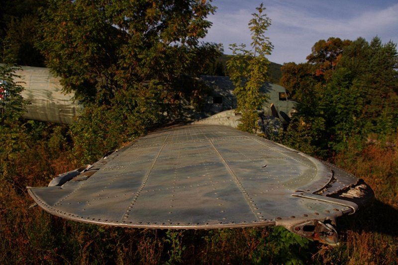 photo6.jpg