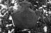 photo14_small.jpg
