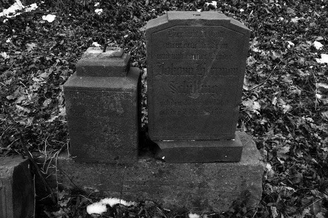 photo9.jpg
