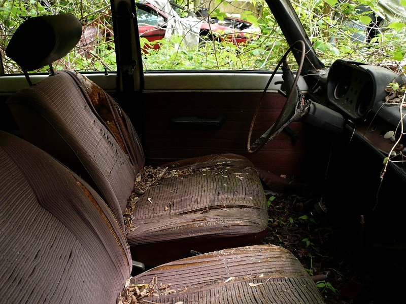 photo11.jpg