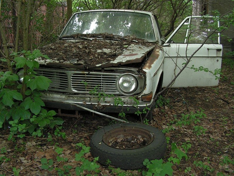 photo15.jpg