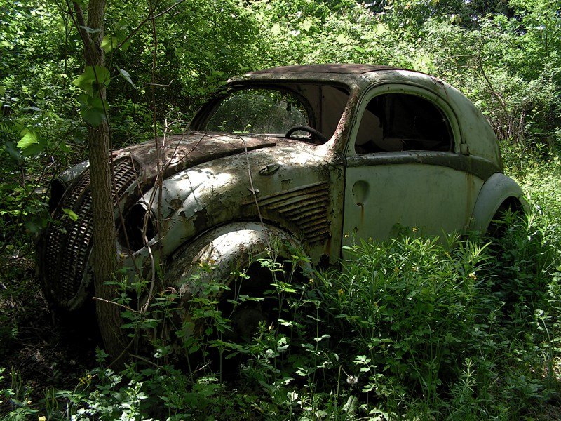 photo3.jpg