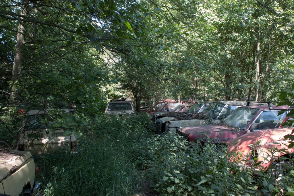 photo14.jpg