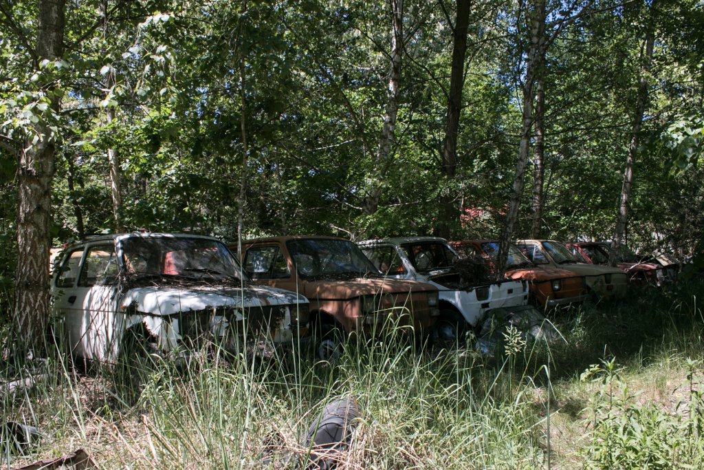 photo15.jpg