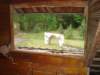 photo12_small.jpg