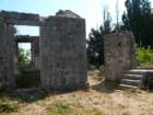 photo5_small.jpg