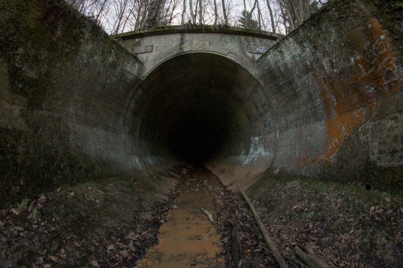 photo.jpg