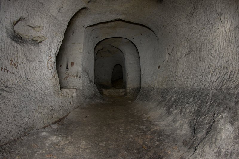 photo4.jpg