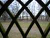 photo20_small.jpg