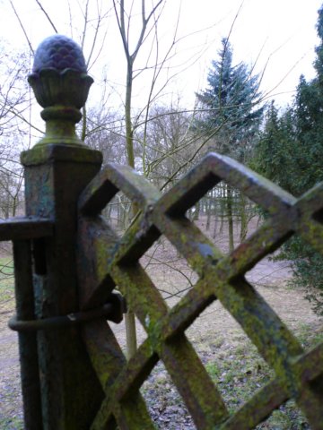 photo21.jpg