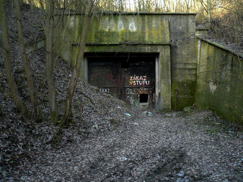 photo.jpg