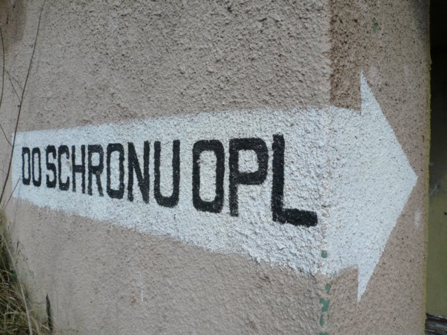 photo10.jpg