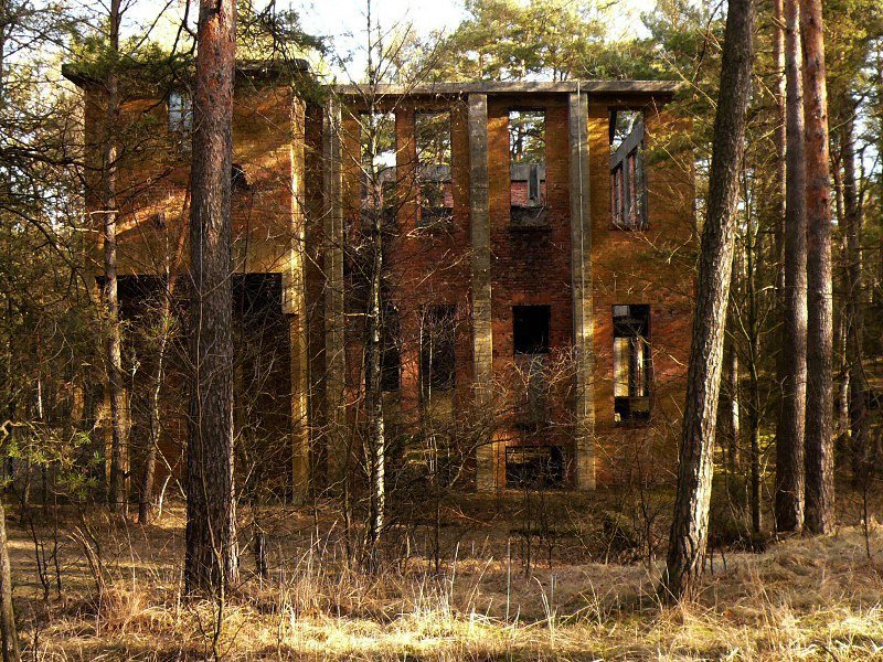 photo12.jpg
