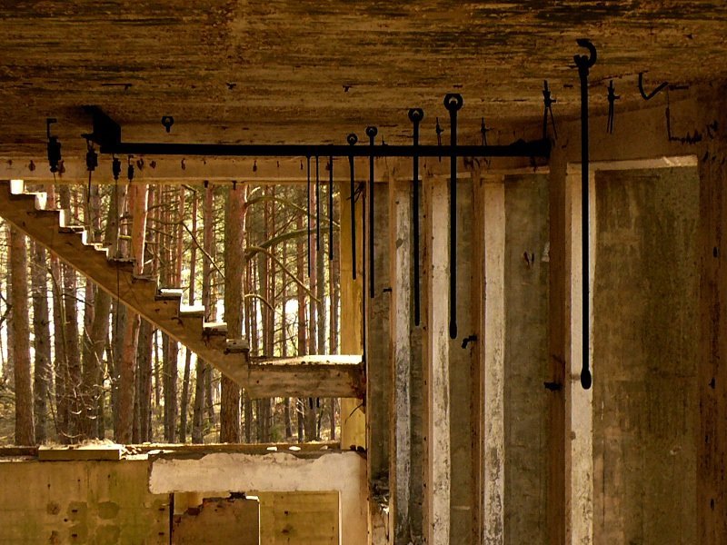 photo9.jpg