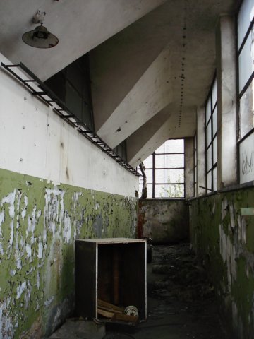 photo24.jpg