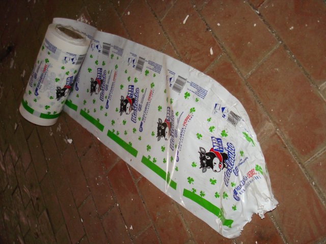 photo27.jpg