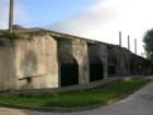 photo2_small.jpg