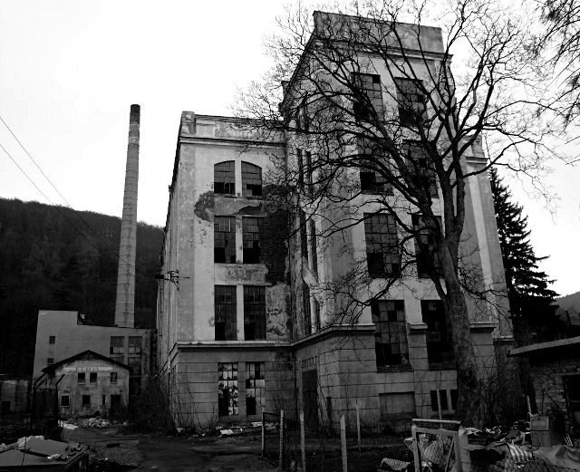 photo.jpg