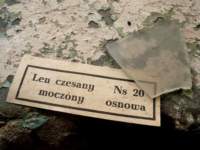 photo8_small.jpg