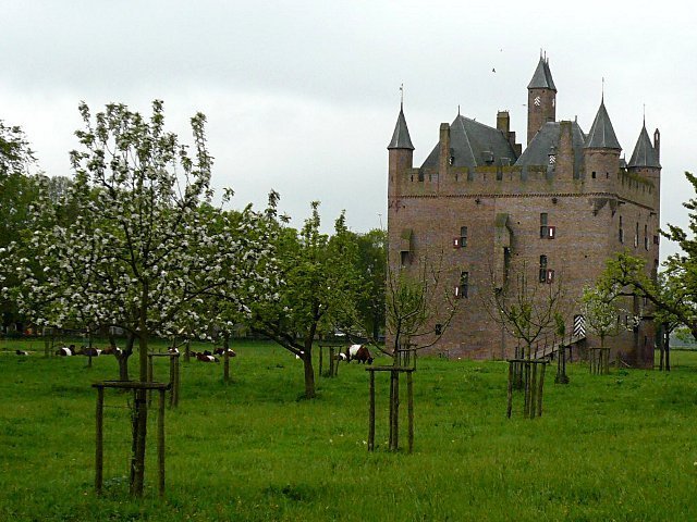 photo.jpg