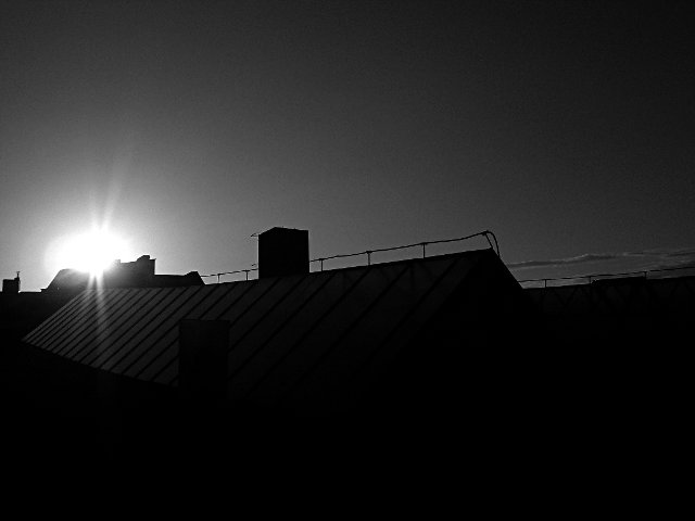 photo11.jpg