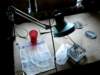 drukarnia2/photo7_small.jpg
