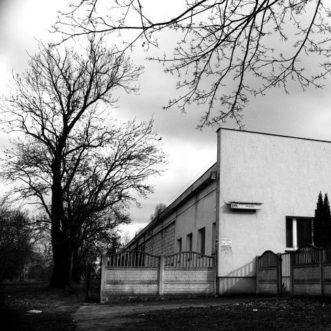 photo.jpg