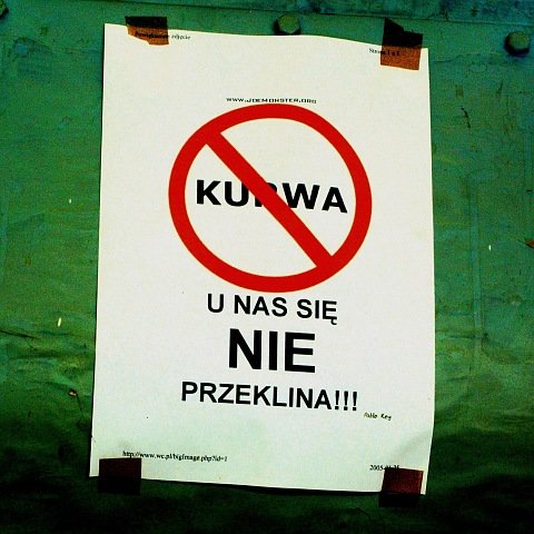 photo5.jpg