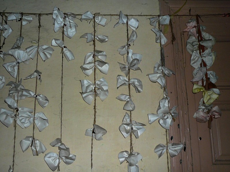 photo7.jpg