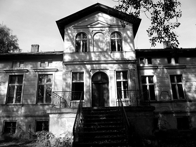 photo20.jpg