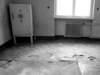 photo9_small.jpg