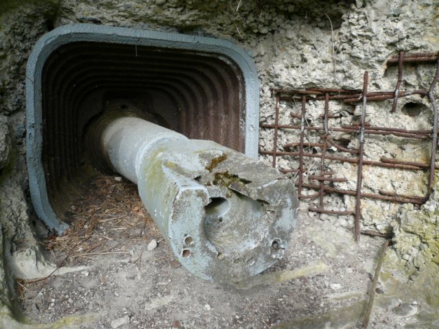 photo27.jpg