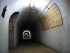 photo3_small.jpg